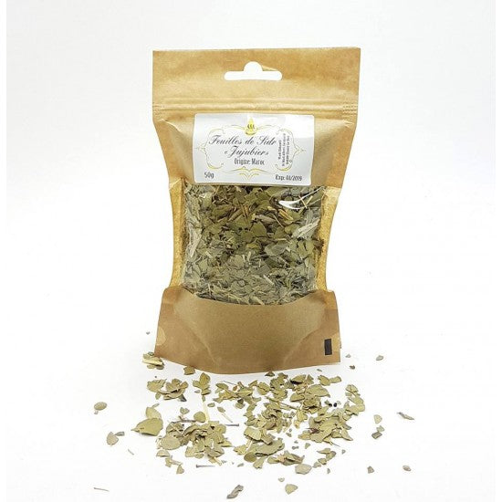 Feuilles de Jujubier (Sidr)